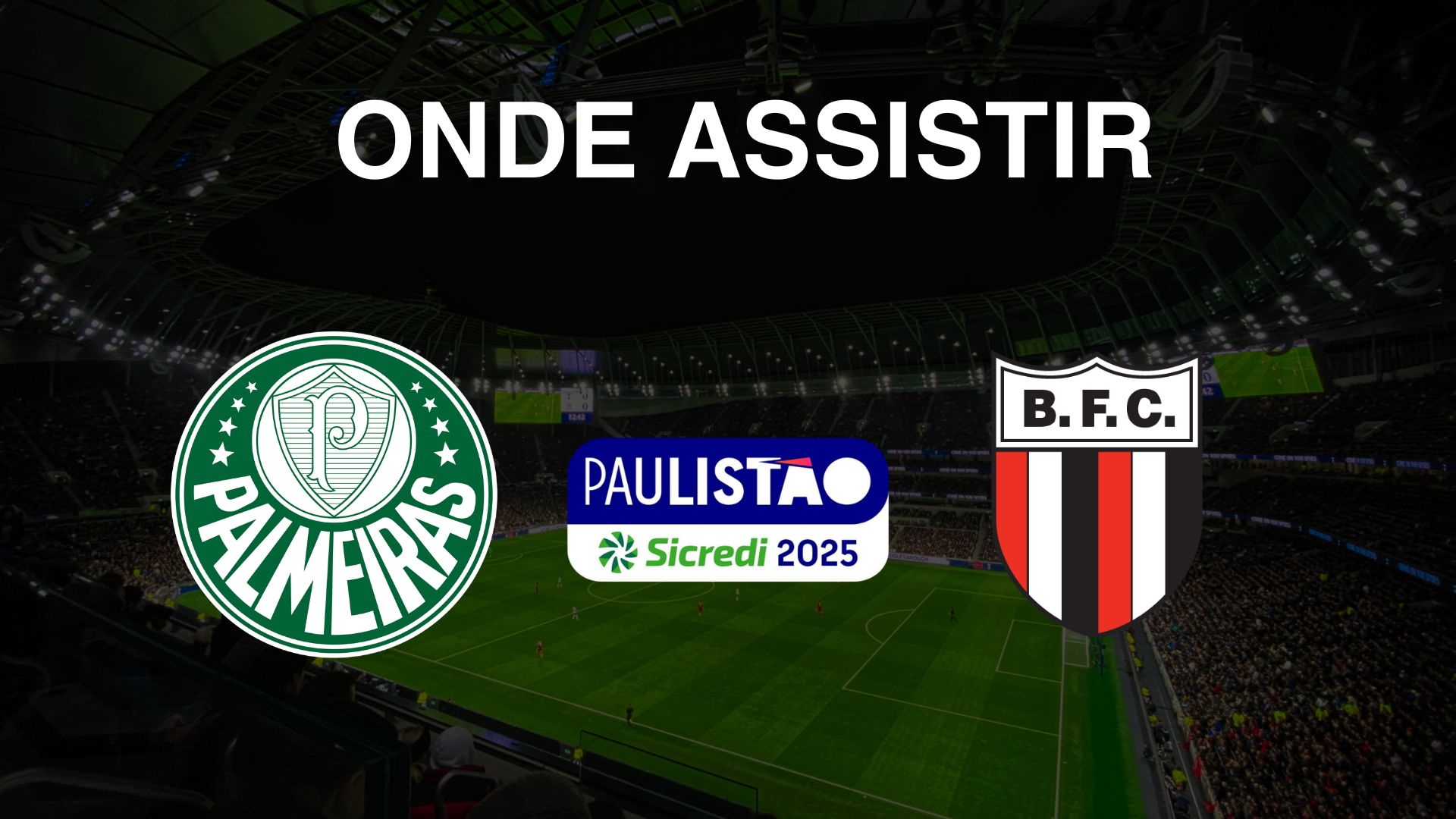 Onde Assistir Palmeiras X Botafogo No Paulist O