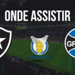 Onde assistir Botafogo x Grêmio, pela 28ª rodada do Brasileirão 2024