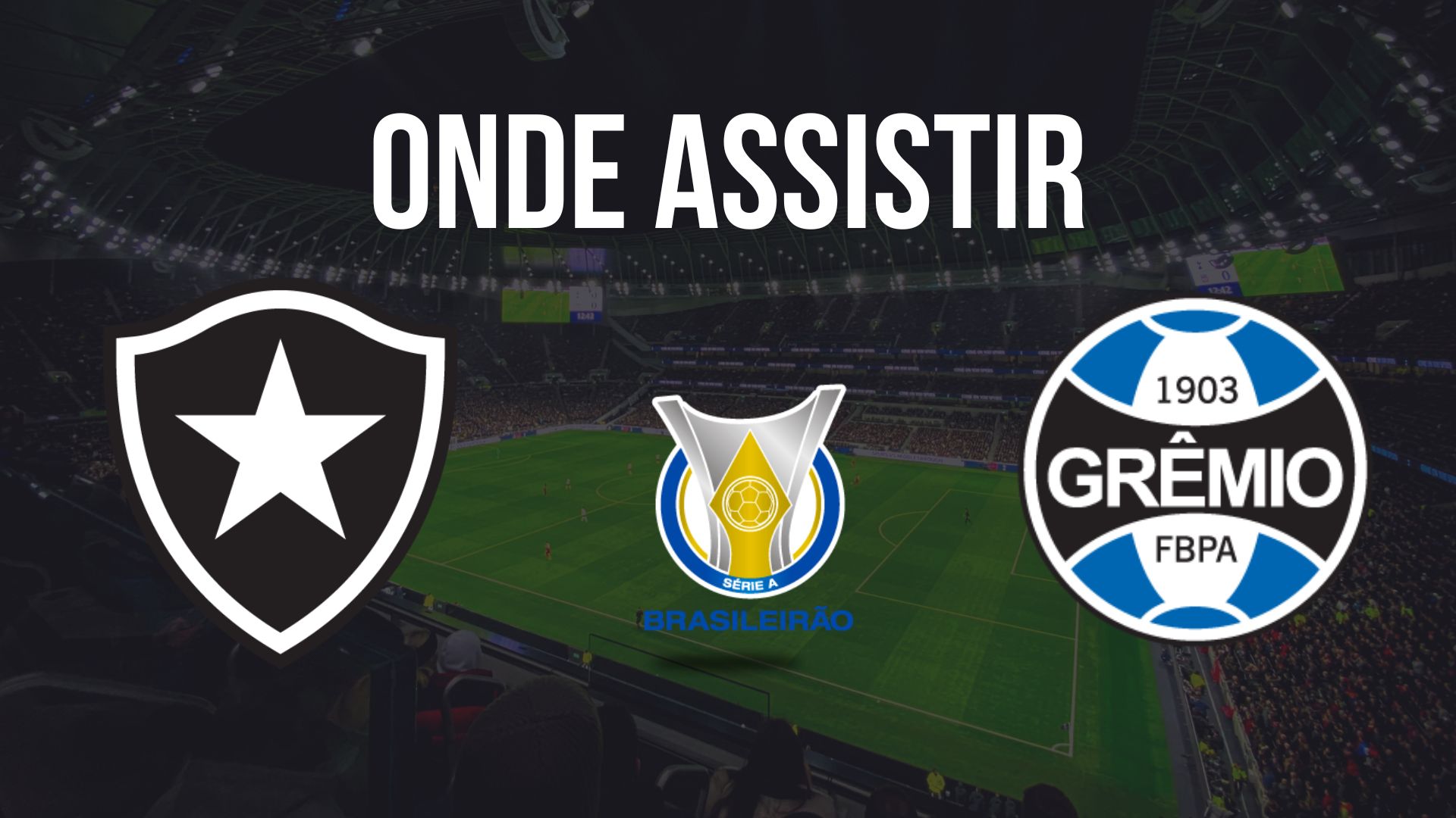 Onde assistir Botafogo x Grêmio, pela 28ª rodada do Brasileirão 2024