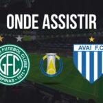 Onde assistir Guarani x Avaí, pela 29ª rodada da Série B do Campeonato Brasileiro 2024