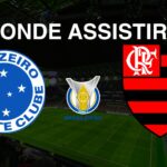 Cruzeiro x Flamengo: Onde Assistir ao Jogo do Brasileirão 2024