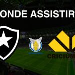 Onde assistir Botafogo x Criciúma, pela 30ª rodada do Brasileirão Série A 2024