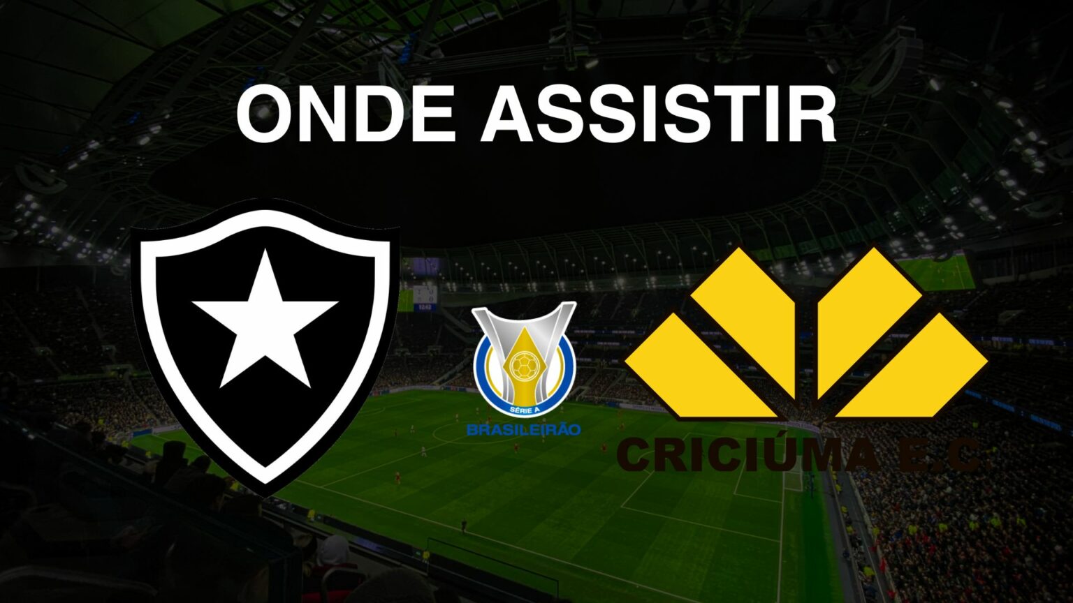 Botafogo X Criciúma Onde Assistir Ao Jogo Do Brasileirão Série A