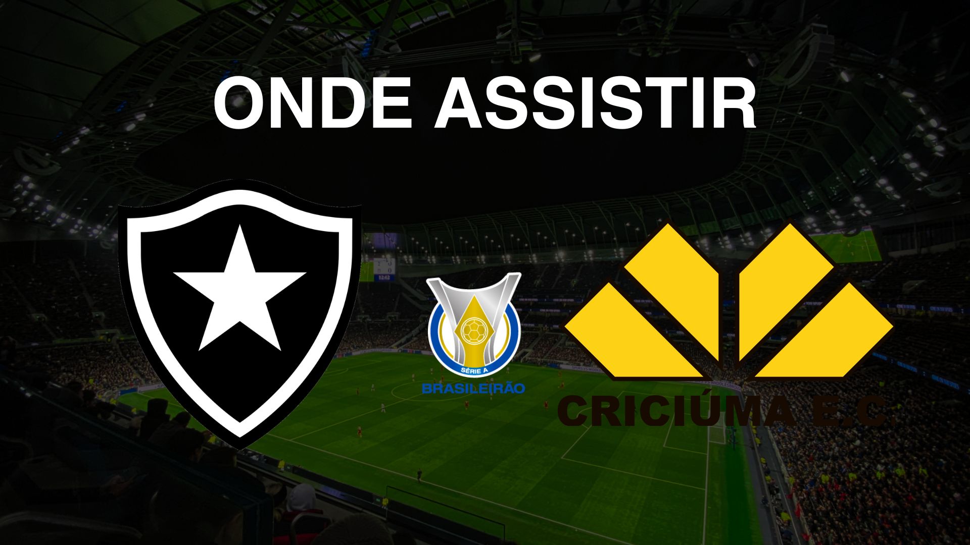 Onde assistir Botafogo x Criciúma, pela 30ª rodada do Brasileirão Série A 2024