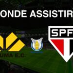 Onde assistir Criciúma x São Paulo, pela 31ª rodada do Brasileirão Série A 2024