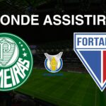 Onde assistir Palmeiras x Fortaleza, pela 31ª rodada do Brasileirão Série A 2024