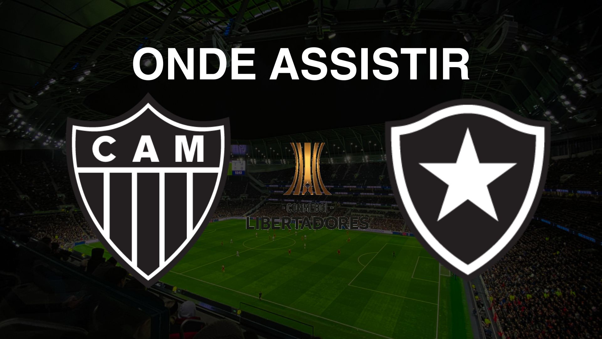 Atlético (MG) e Botafogo: Onde Assistir à Final da Copa Libertadores 2024