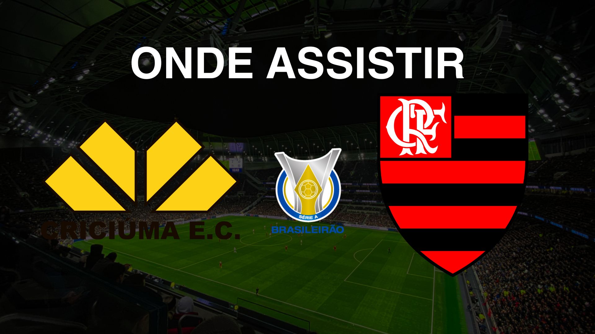 Criciúma x Flamengo: Onde Assistir ao Jogo pela 37ª Rodada do Brasileirão Série A 2024