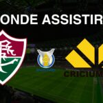 Fluminense x Criciúma: Onde Assistir ao Jogo pela 35ª Rodada do Brasileirão Série A 2024