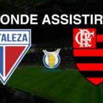 Fortaleza x Flamengo: Onde Assistir ao Jogo pela 35ª Rodada do Brasileirão Série A 2024