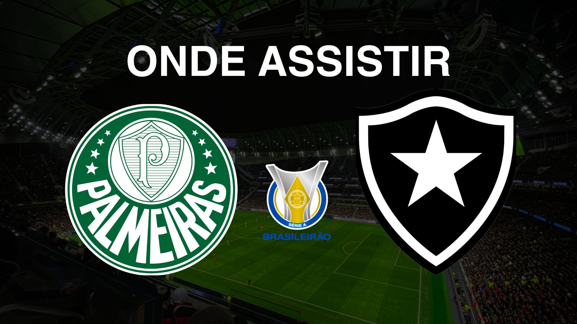 Palmeiras x Botafogo: Onde Assistir ao Jogo pela 36ª Rodada do Brasileirão Série A 2024