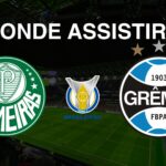 Palmeiras x Grêmio: Onde Assistir ao Jogo do Brasileirão 2024