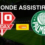 Audax (SP) x Palmeiras: onde assistir o jogo da Copa São Paulo de Futebol Júnior 2025