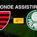 Oeste (SP) x Palmeiras (SP): onde assistir o jogo da Copa São Paulo de Futebol Júnior 2025