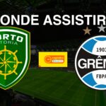 Porto Vitória (ES) x Grêmio (RS): onde assistir o jogo da Copa São Paulo de Futebol Júnior 2025