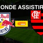 RB Bragantino (SP) x Flamengo (RJ): onde assistir o jogo da Copa São Paulo de Futebol Júnior 2025