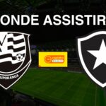 Votuporanguense (SP) x Botafogo (RJ): onde assistir o jogo da Copa São Paulo de Futebol Júnior 2025